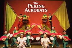 Windless Kite Festival