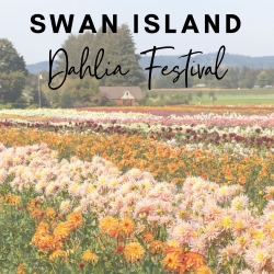 Swan Island Dahlia Festival